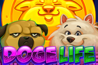 Doge Life